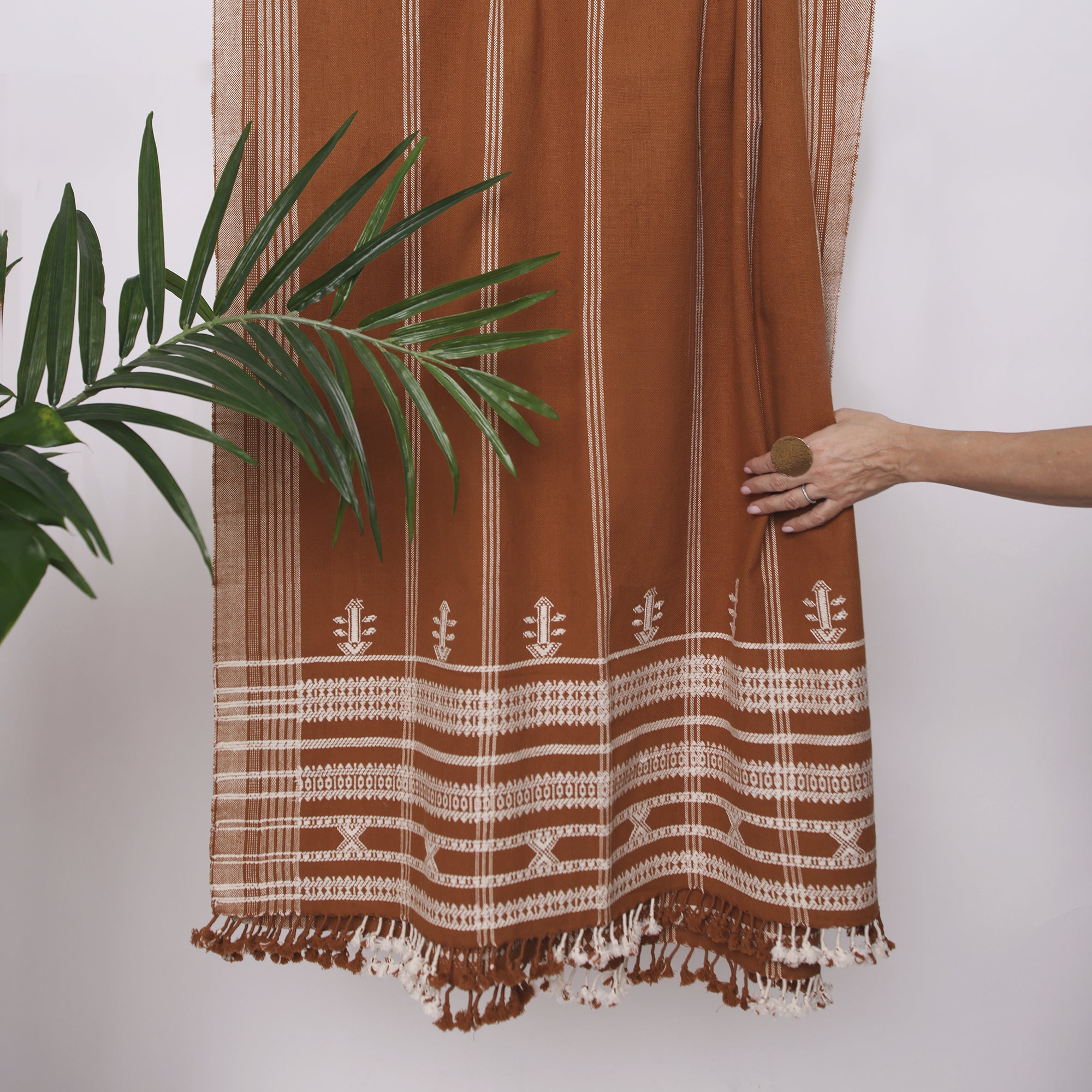 Woven Border Throw with Tassels