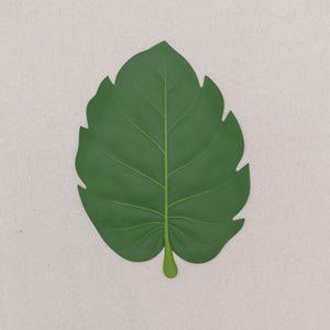 Tropical Leaf Placemat