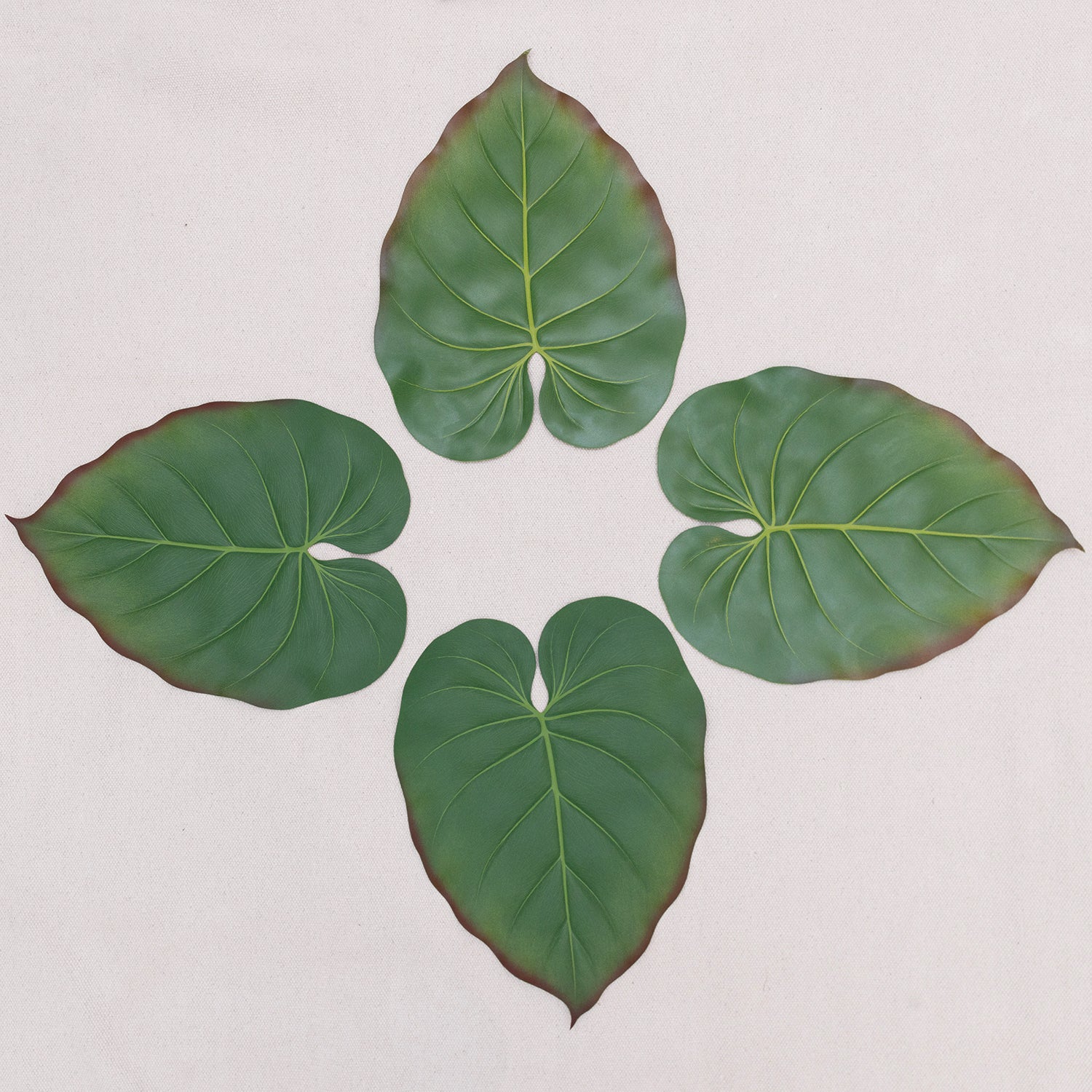 Tropical Leaf Placemat