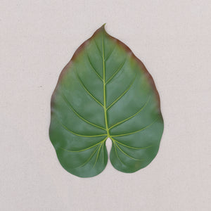 Tropical Leaf Placemat
